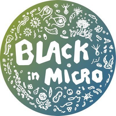 blackinmicro